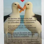 Ferien-whg Albatros Direkt Am Steinhuder-meer, Mit Meerblick Und Parkplatz Steinhude
