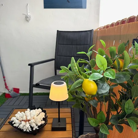 Ferien-whg Albatros Direkt Am Steinhuder-meer, Mit Meerblick Und Parkplatz * Steinhude