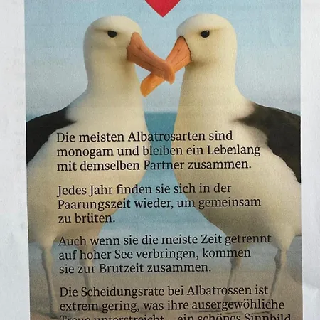 Ferien-whg Albatros Direkt Am Steinhuder-meer, Mit Meerblick Und Parkplatz Steinhude
